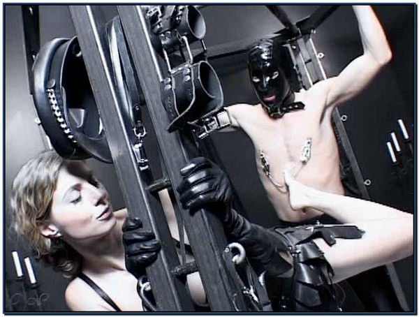 Femdom 0503154 Femdom 