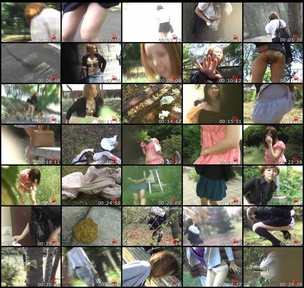 dtri4dy93twi F15-23 Scat Voyeur Asian Scat Scat Voyeur