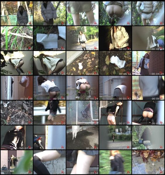 Scat Piss Voyeur F15-22 Asian Scat Pissing Scat Voyeur 